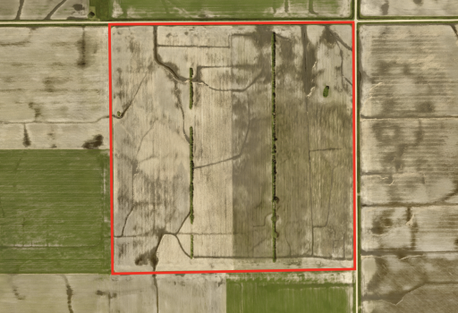 xxx 260th St, Rothsay, MN 56579