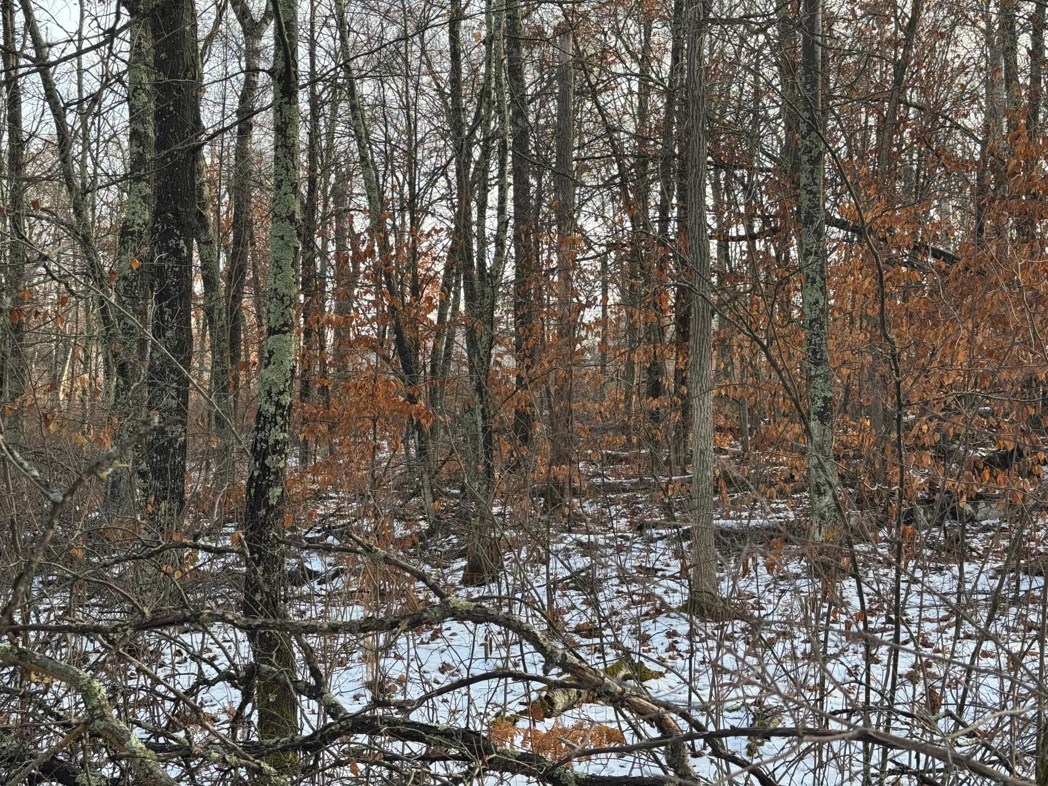 Another shot of the property.
