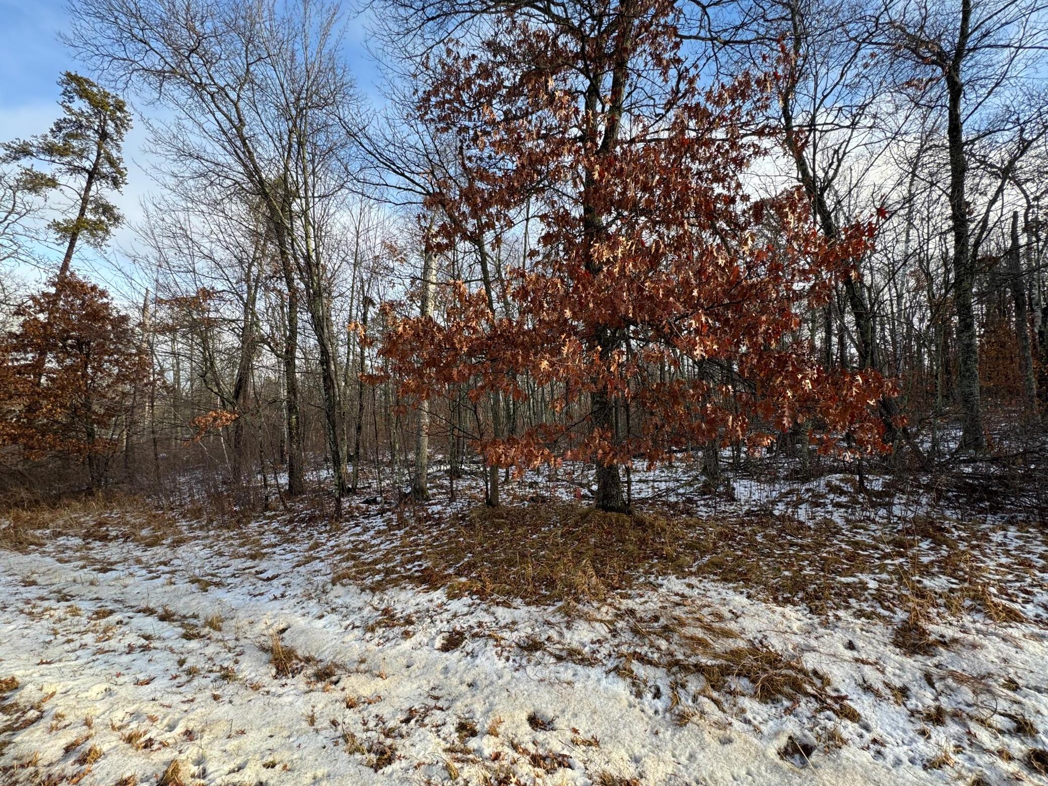 Another angle from the roadside.