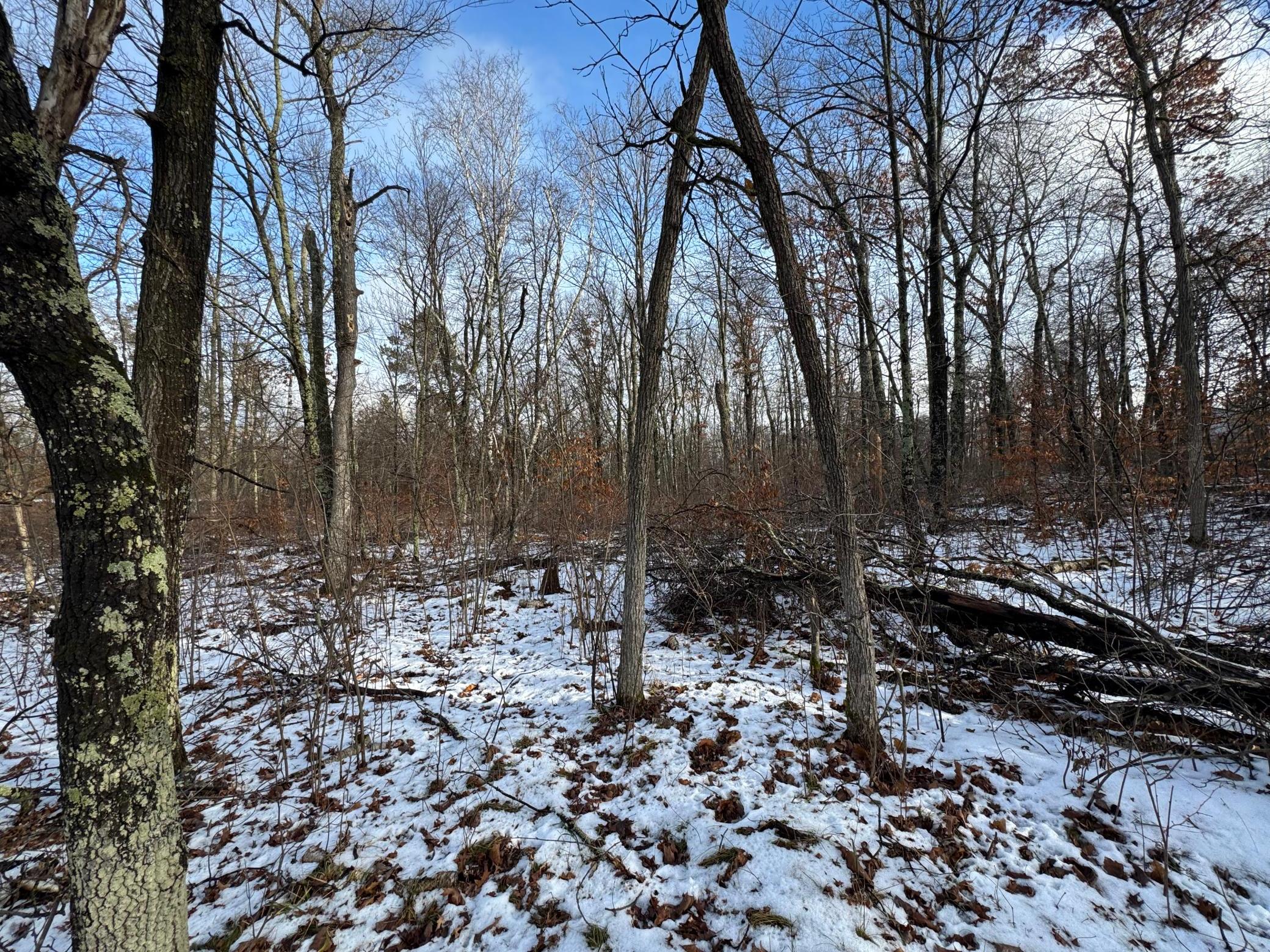 More views of the property.