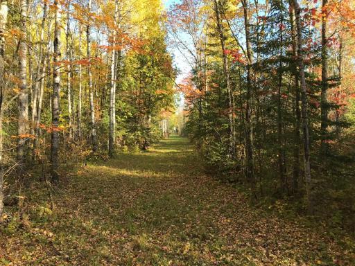 240 acres of lush, timbered hunting land complete with well-maintained trails