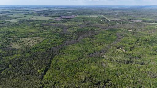 1961 Town Road 118, Birchdale, MN 56629