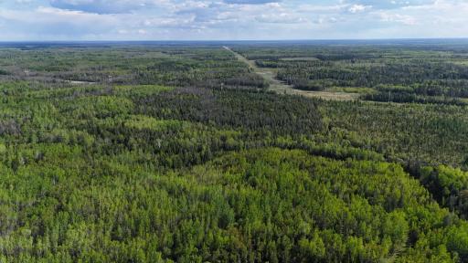 1961 Town Road 118, Birchdale, MN 56629