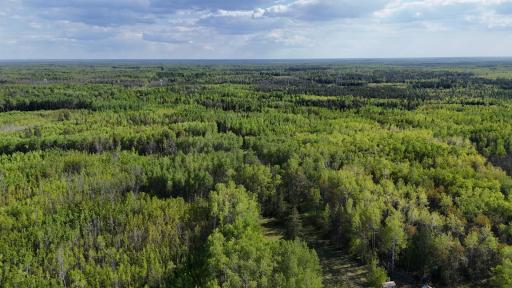 1961 Town Road 118, Birchdale, MN 56629