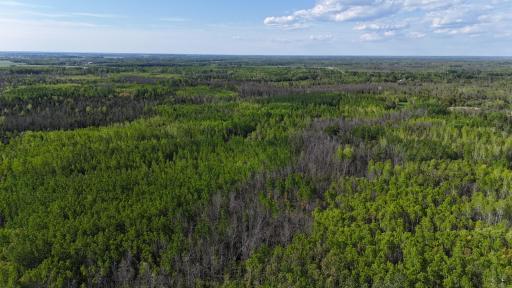 1961 Town Road 118, Birchdale, MN 56629