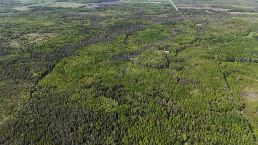 1961 Town Road 118, Birchdale, MN 56629