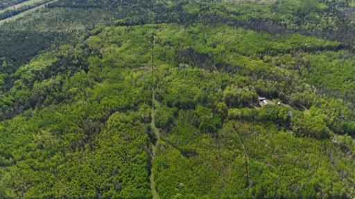 1961 Town Road 118, Birchdale, MN 56629