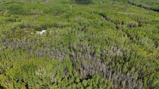 1961 Town Road 118, Birchdale, MN 56629