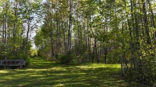 1961 Town Road 118, Birchdale, MN 56629