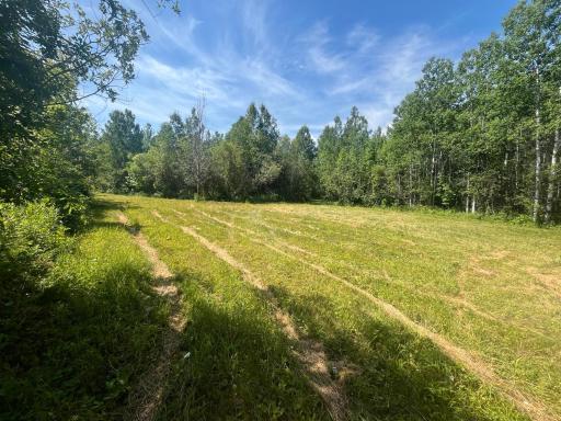 1961 Town Road 118, Birchdale, MN 56629