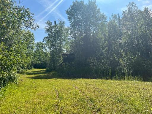 1961 Town Road 118, Birchdale, MN 56629