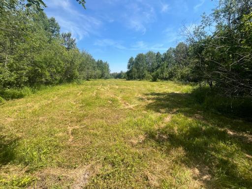 1961 Town Road 118, Birchdale, MN 56629