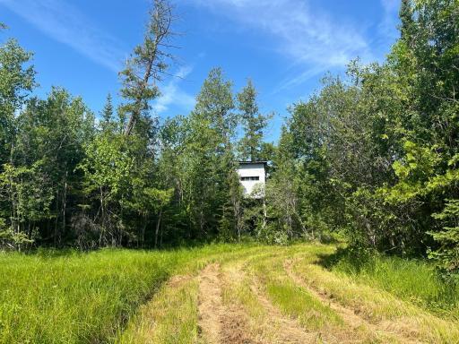 1961 Town Road 118, Birchdale, MN 56629