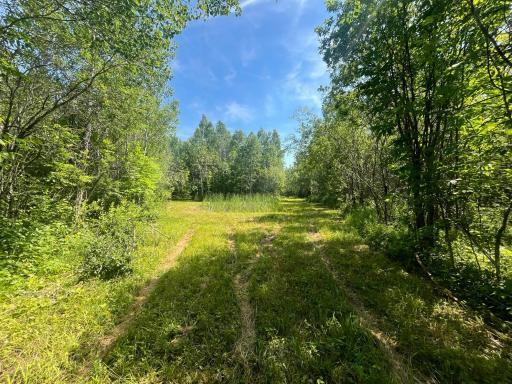 1961 Town Road 118, Birchdale, MN 56629