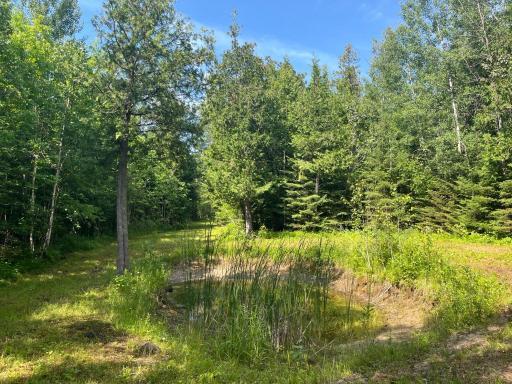 1961 Town Road 118, Birchdale, MN 56629