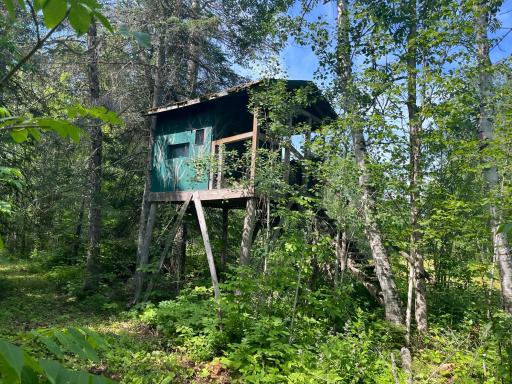 1961 Town Road 118, Birchdale, MN 56629