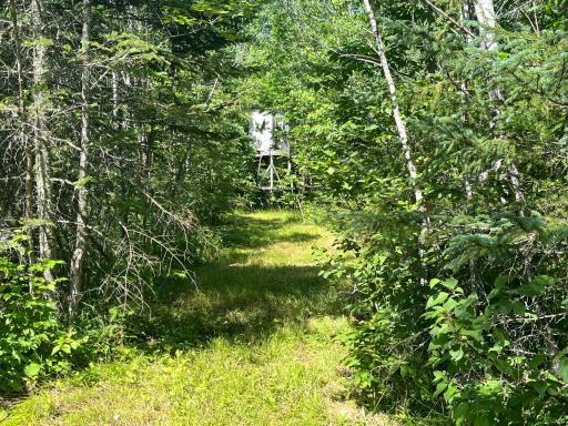 1961 Town Road 118, Birchdale, MN 56629