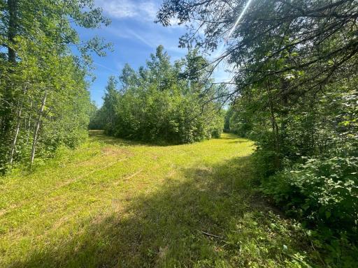 1961 Town Road 118, Birchdale, MN 56629