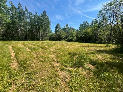 1961 Town Road 118, Birchdale, MN 56629