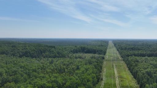 1961 Town Road 118, Birchdale, MN 56629