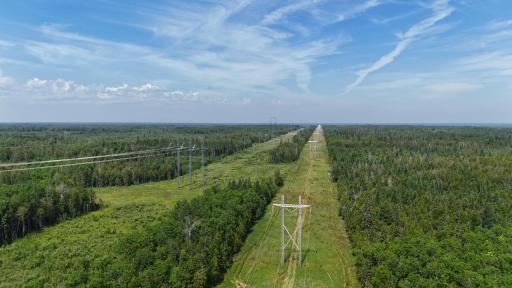 1961 Town Road 118, Birchdale, MN 56629