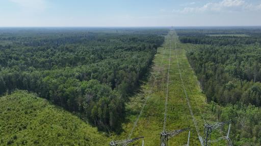 1961 Town Road 118, Birchdale, MN 56629