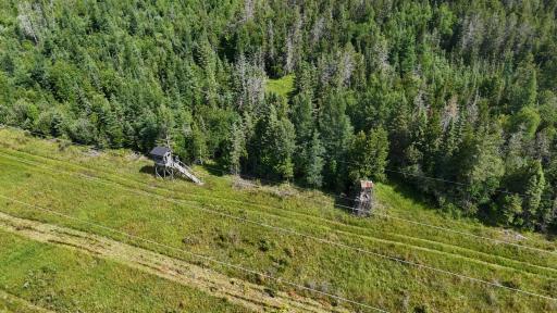 1961 Town Road 118, Birchdale, MN 56629