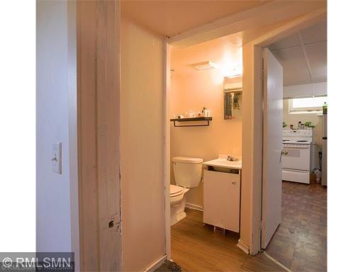 Lower level bathroom