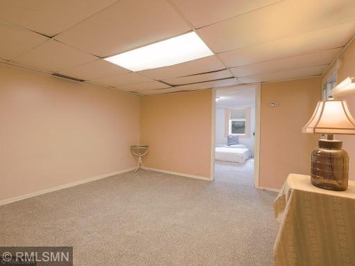 Family room Lower level