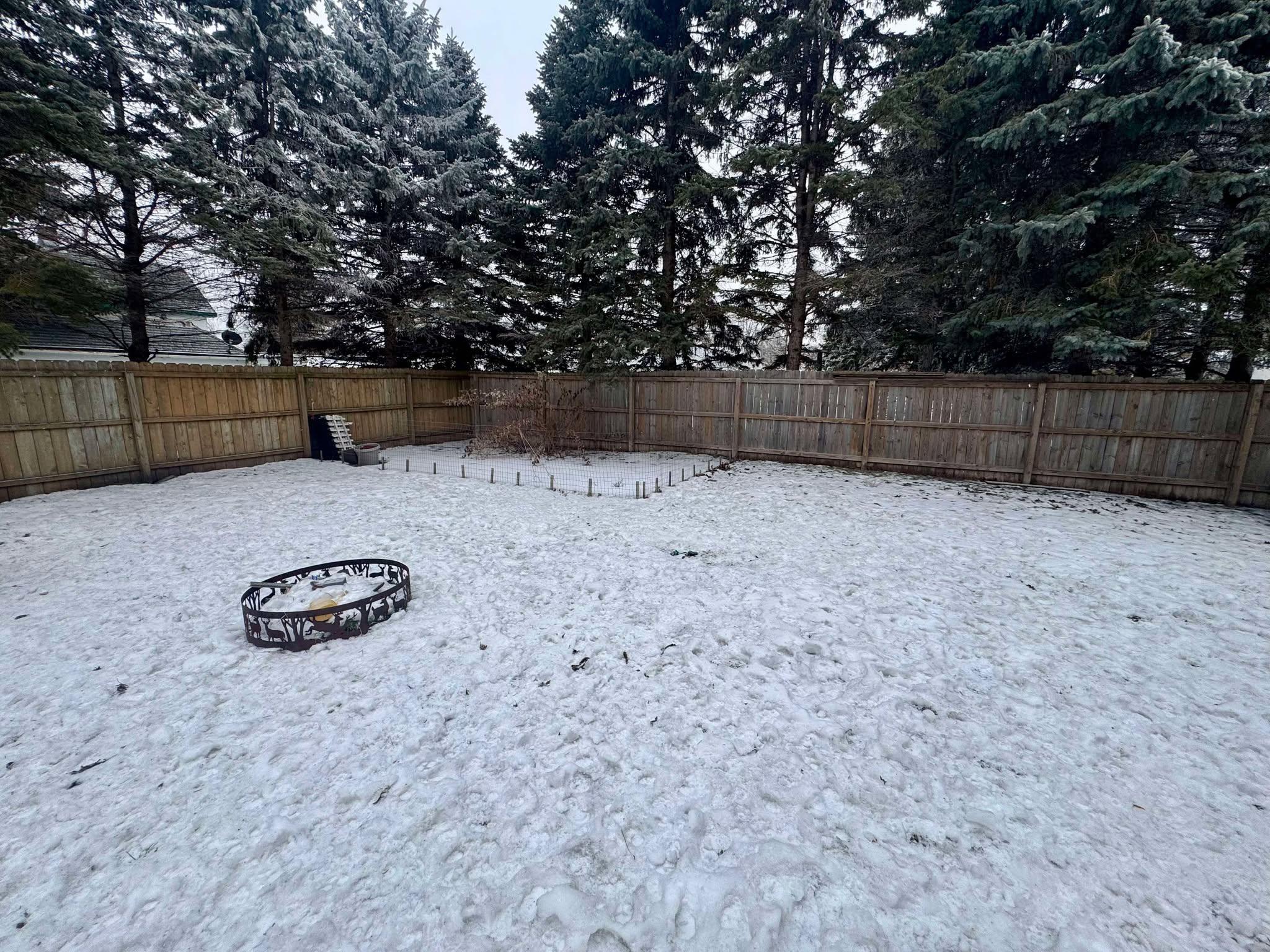 42.jpg