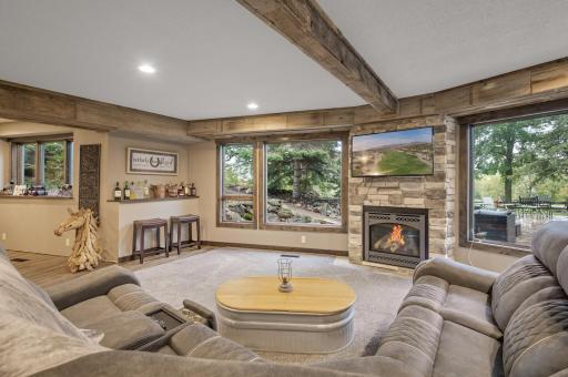 Lower Level Family room with gas burning fireplace