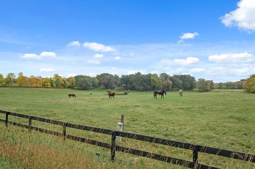 Property has all new Hotwire all around to protect your wood fencing