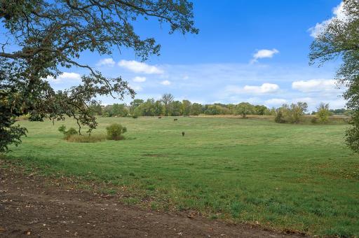 Lush front pasture for your horses or cows