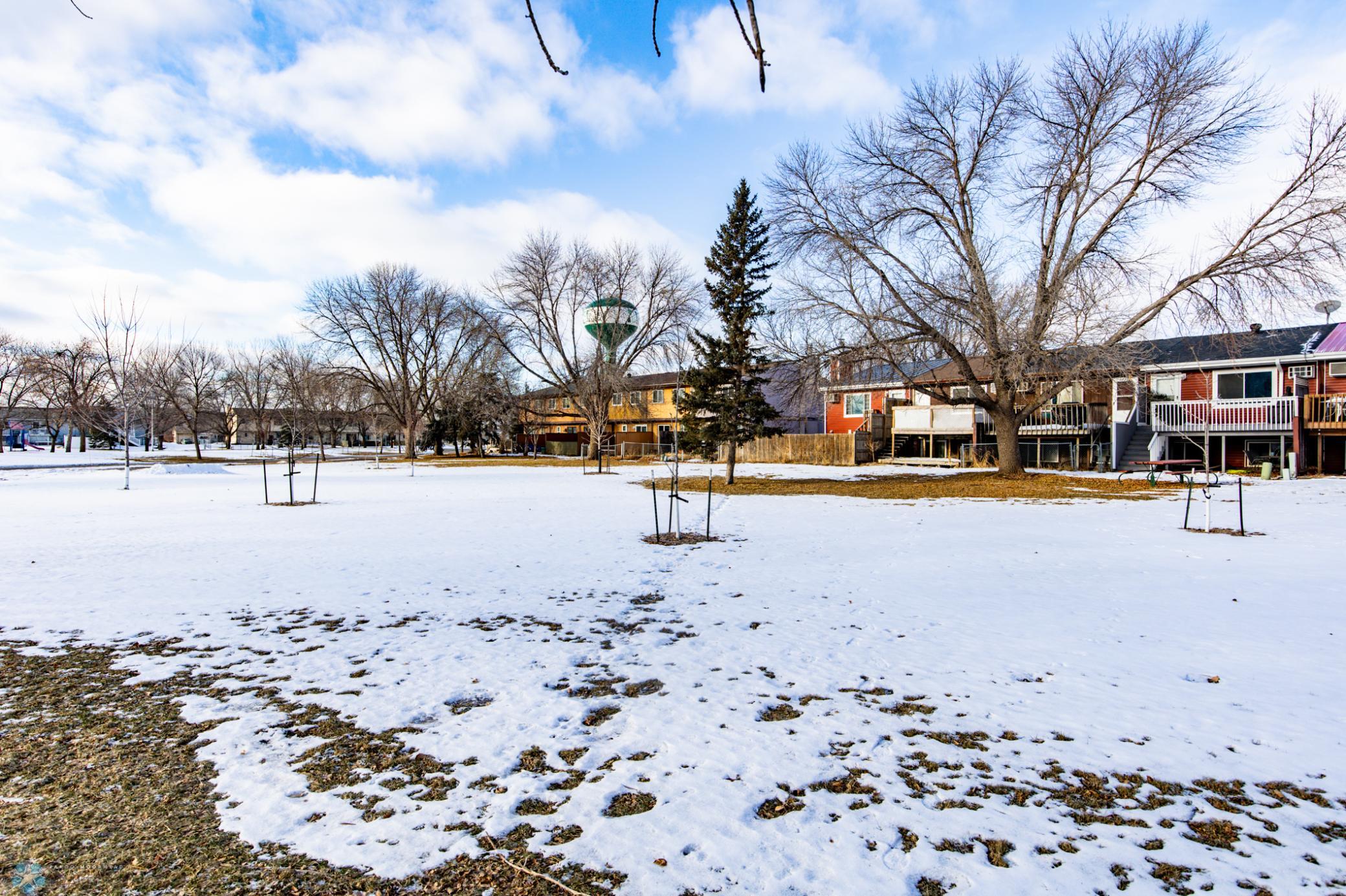 Backyard/Park