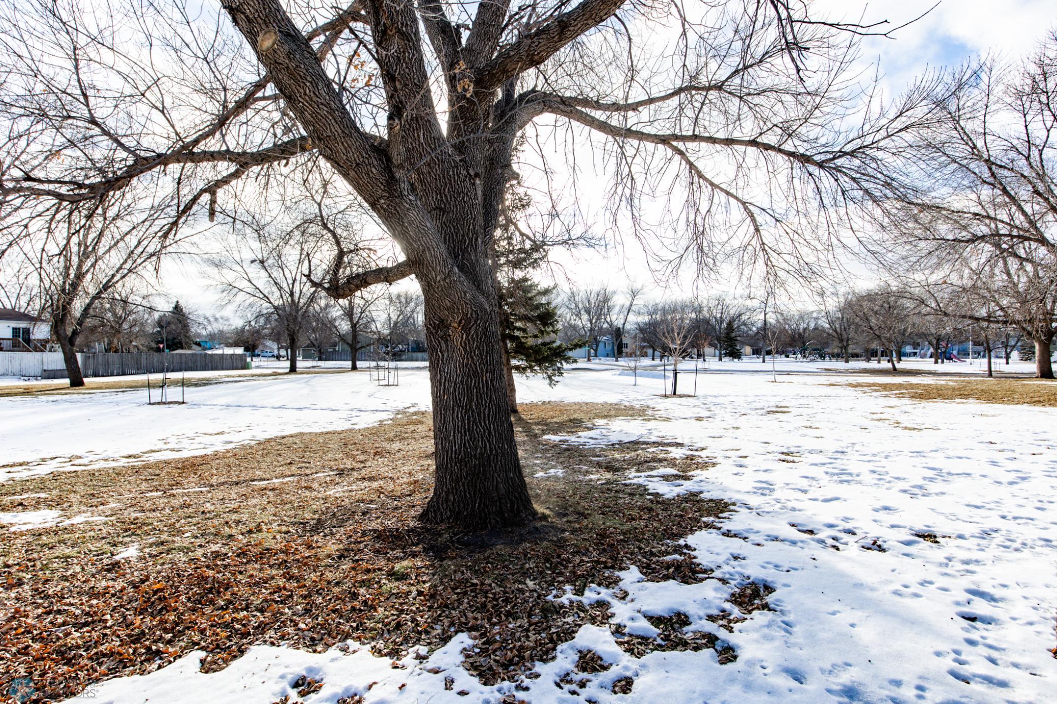 Backyard/Park