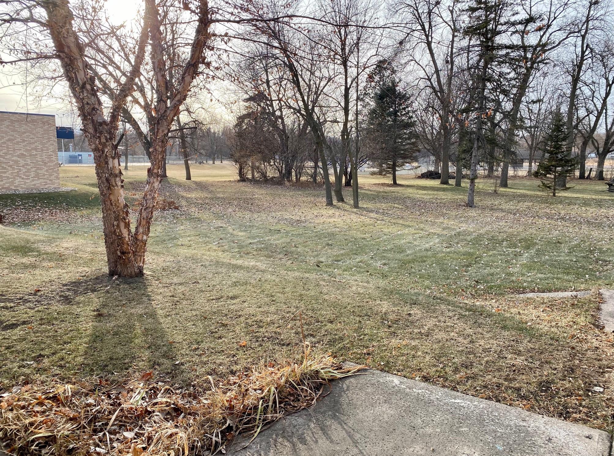 view of back yard from office