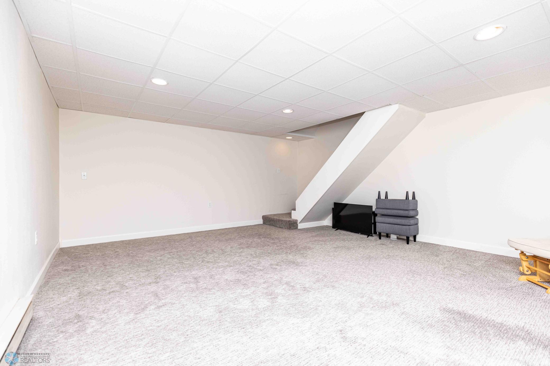 Basement Family Room