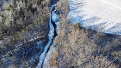 XXX County Road M, Rib Lake, WI 54470