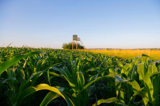 315 40th Avenue NW, Underwood, ND 58576