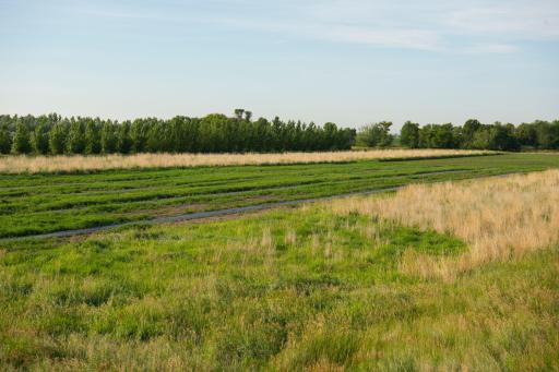 315 40th Avenue NW, Underwood, ND 58576