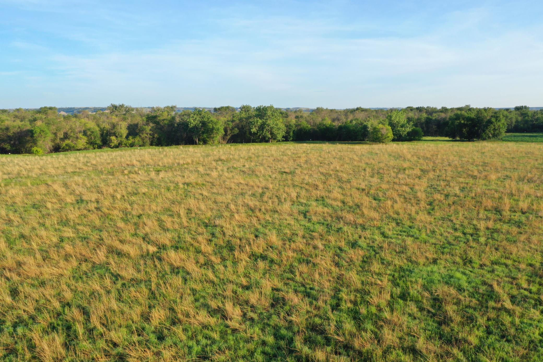 Switch grass bedding area