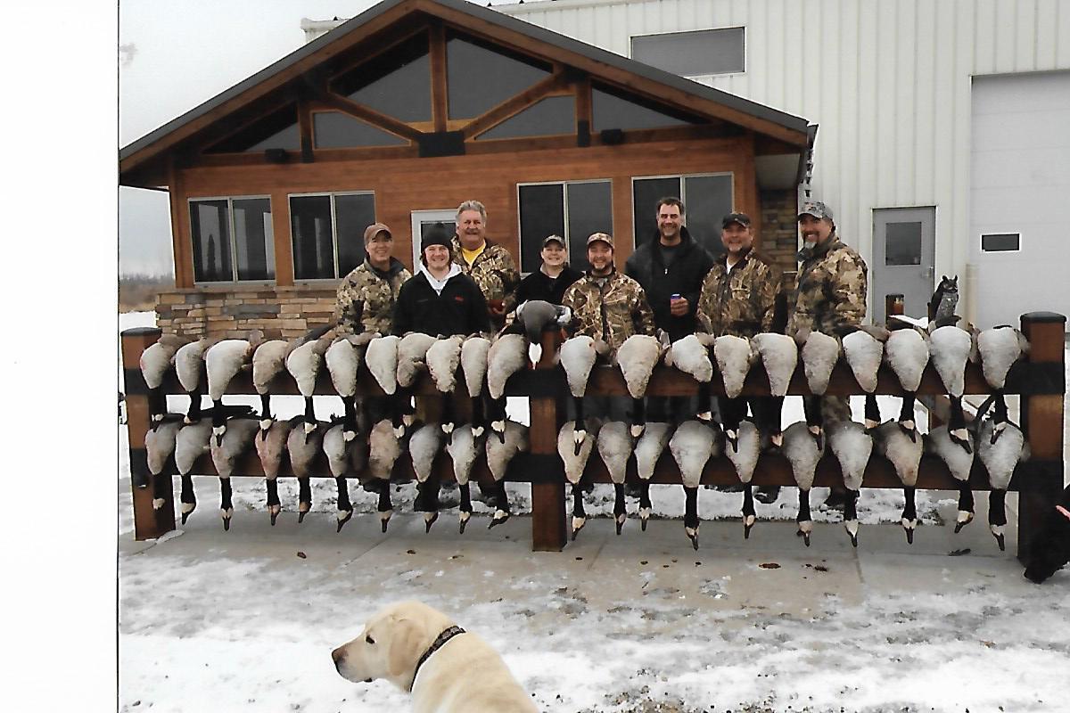 Big day in the goose pit