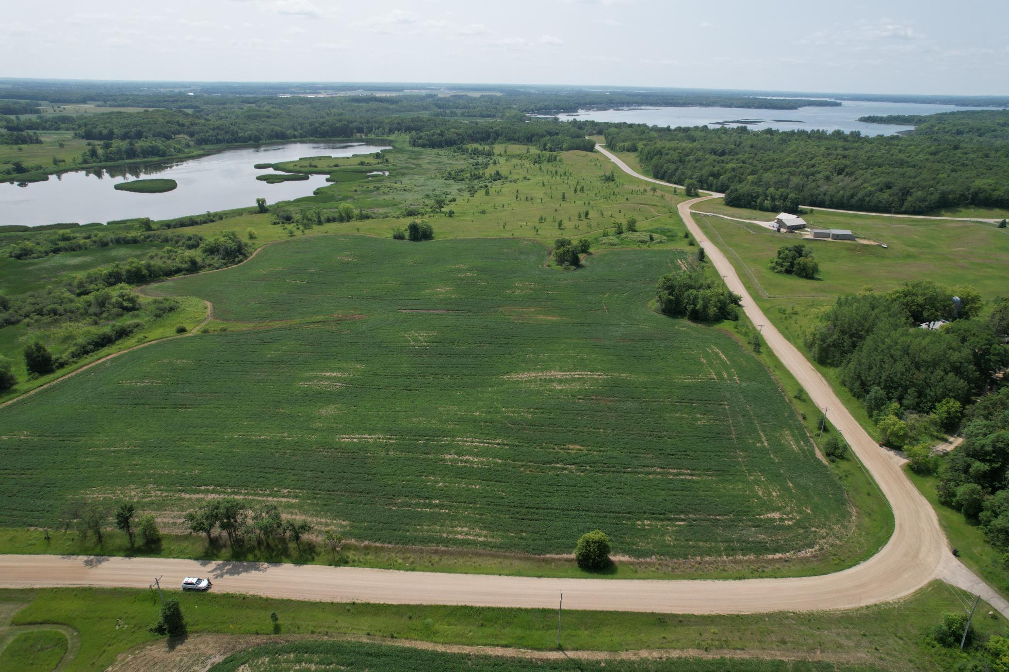 Summer From North