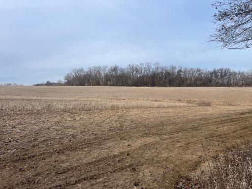 4485 75th Street SE, Rochester, MN 55904