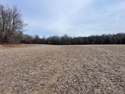 4485 75th Street SE, Rochester, MN 55904