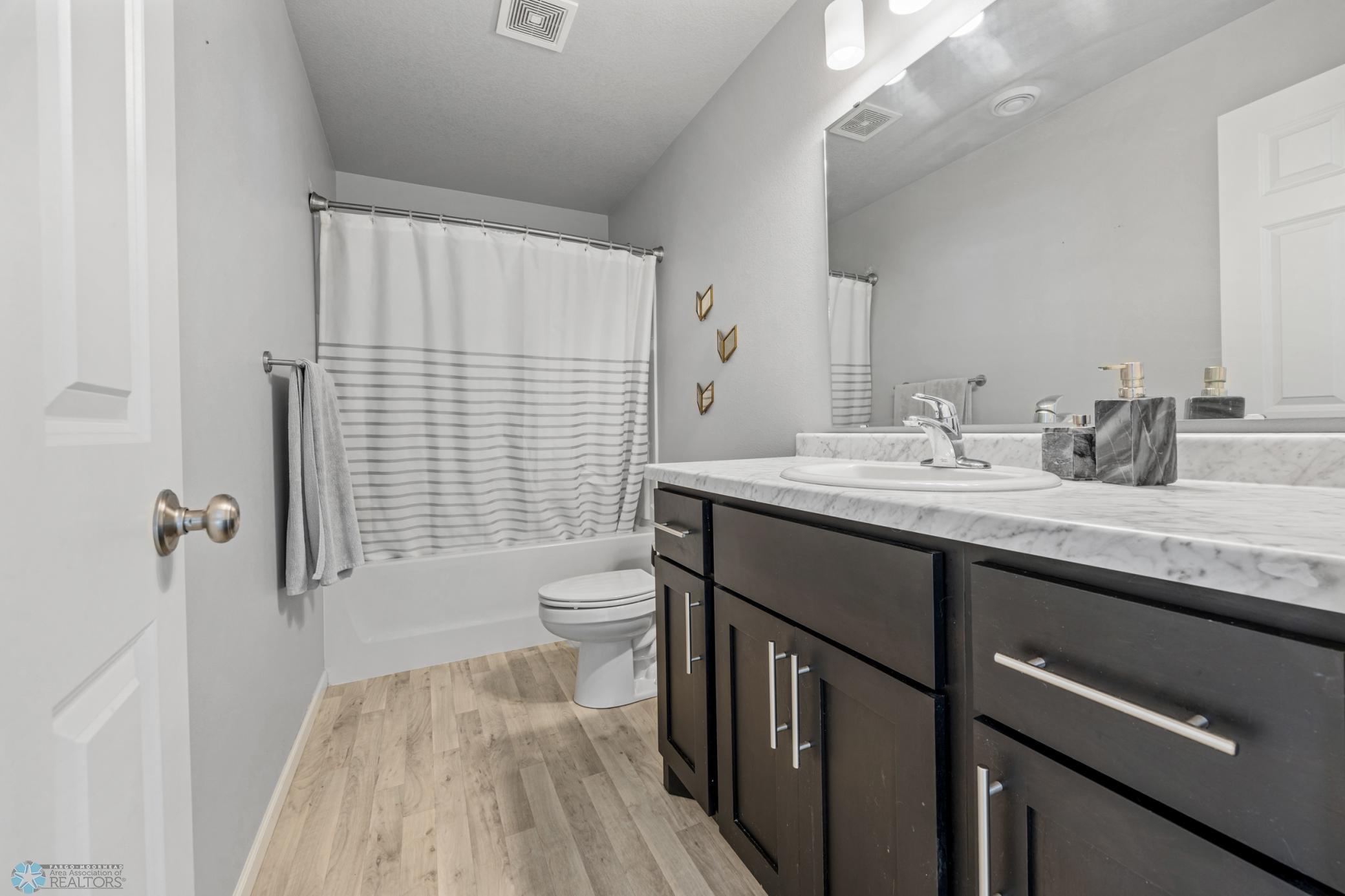 Lower Level Bath