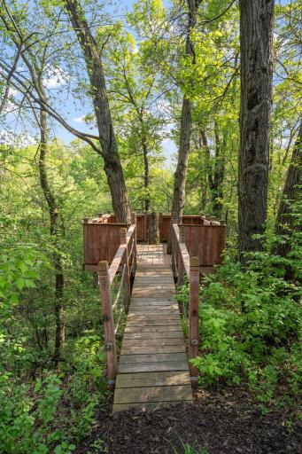 Built-in tree house lookout is perfect for all ages to enjoy!