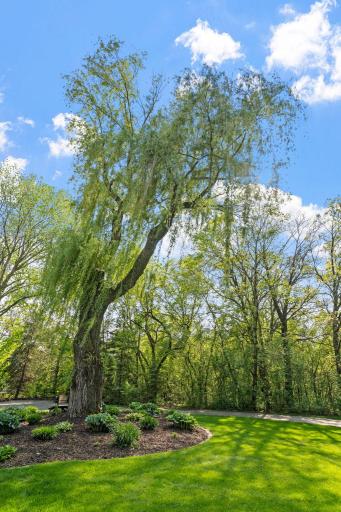 12058 Lucerne Trail, Lakeville, MN 55044
