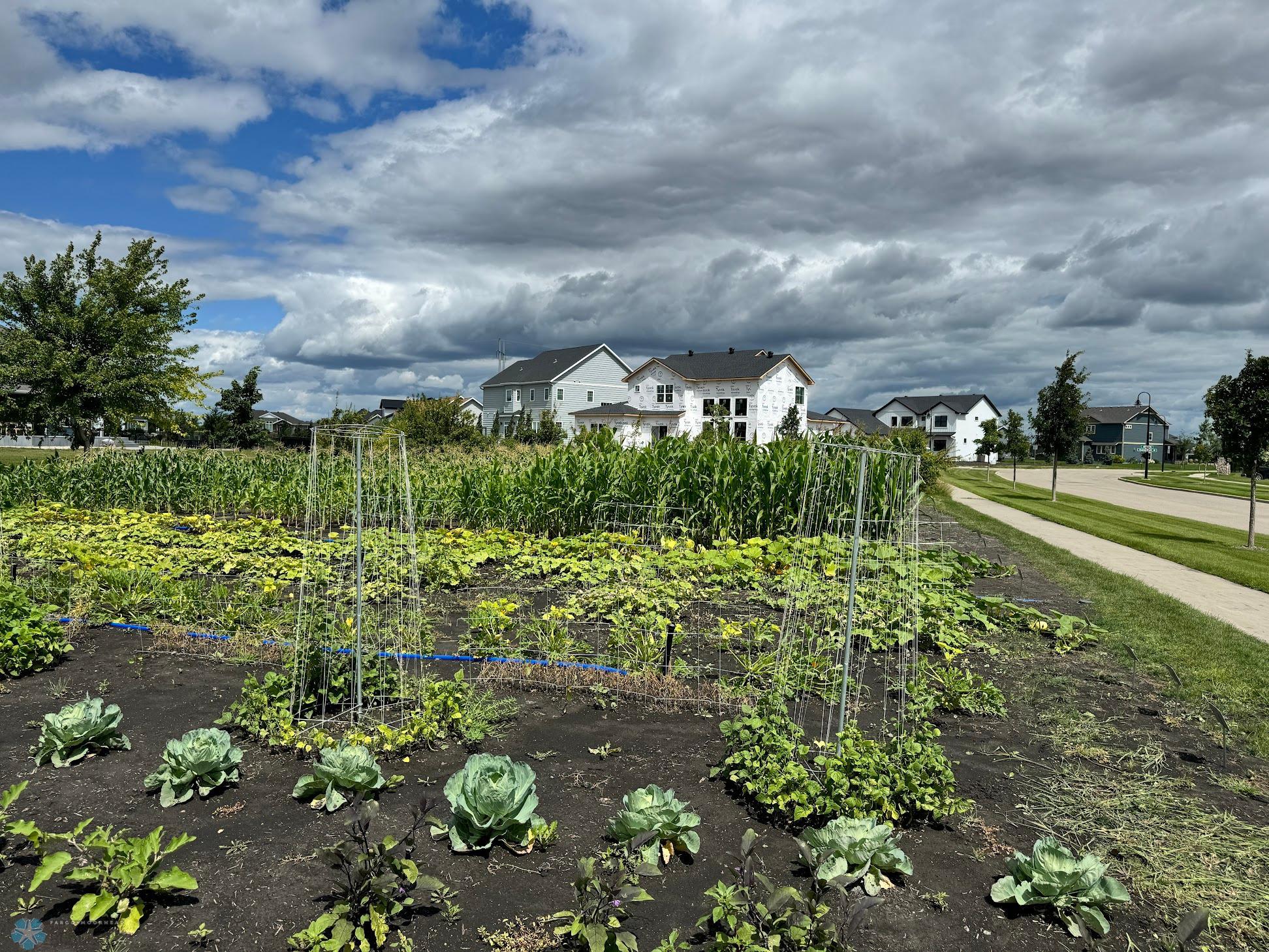 Development Garden