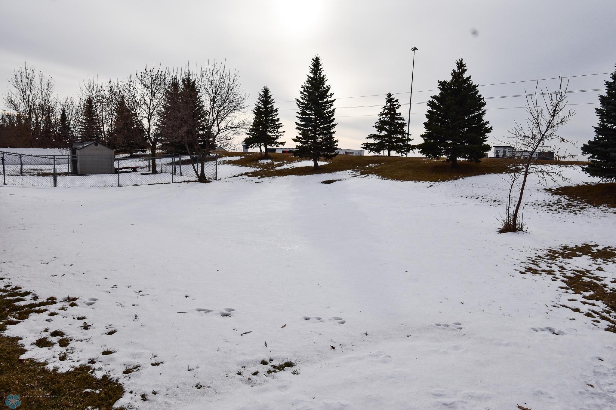DSC_0232.jpg